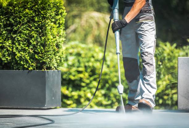 Animal Enclosure Cleaning in South Brooksville, FL
